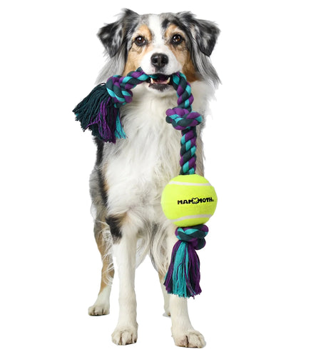 Flossy Chews Cottonblend 3 Knot Tug with 4" Tennis Ball Rope Dog Toy, Large, 24", Assorted Colors