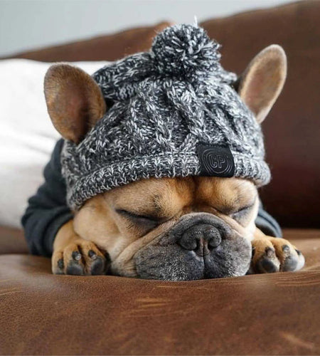 Winter Warm Dog Hats Windproof Knitting French Bulldog Hat for Dogs Chihuahua Hat Fluffy Ball Puppy Accessories Pet Hats
